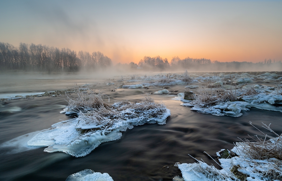 walz - ***. . Zdjęcie 320791