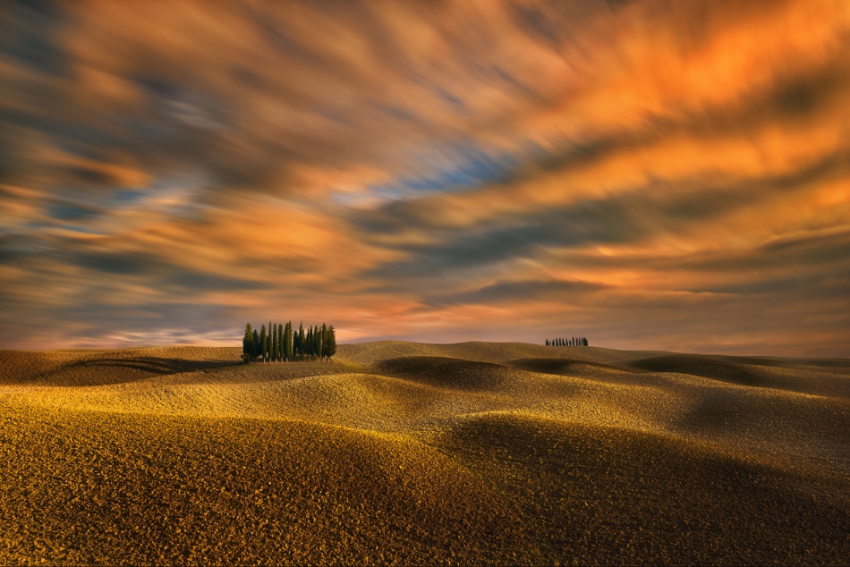 hix - Cypresses.... . Zdjęcie 160696
