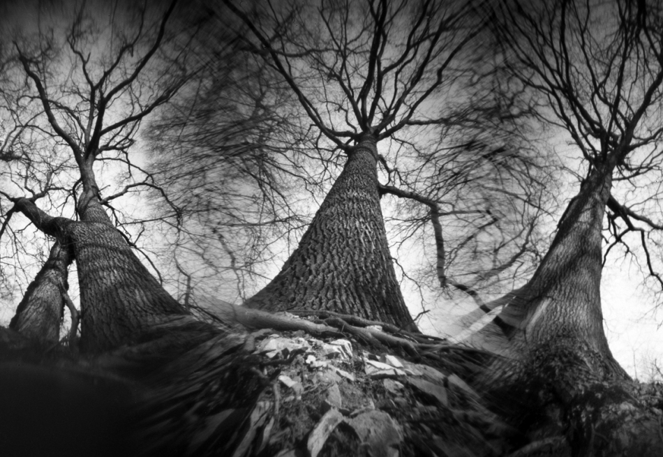 ijon_cor - . trzyotworkowcem foma 100 6x9, r09 1+25.. Zdjęcie 312279