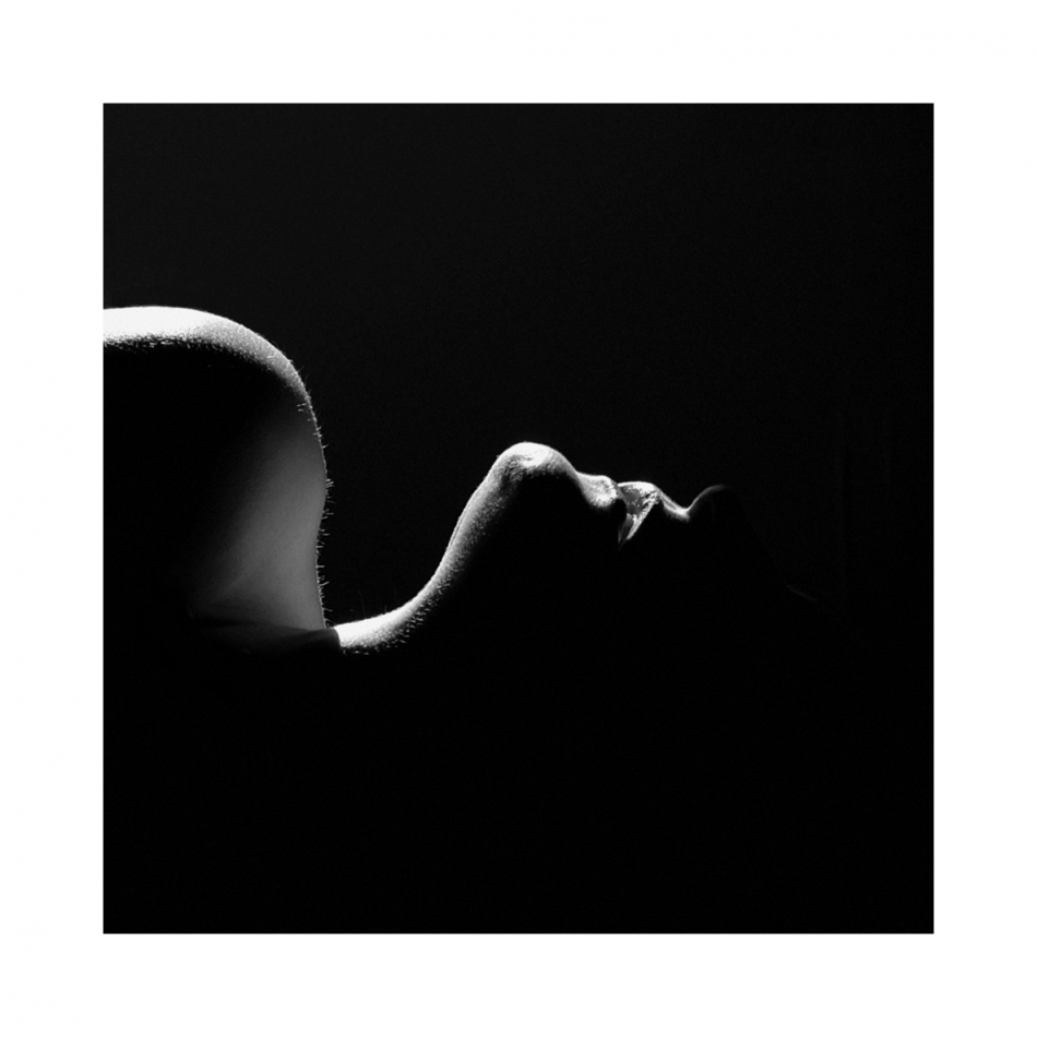 keytoo_ - . Luminous Serpent. Zdjęcie 322906