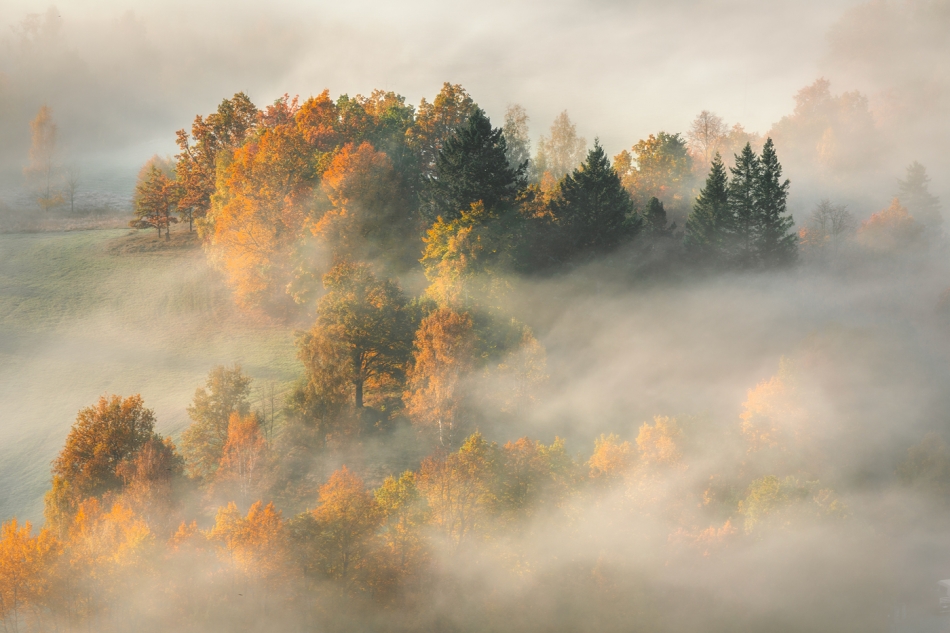 bonnieandclyde - For the Love of Autumn.... . Zdjęcie 320666