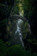 The Bridge