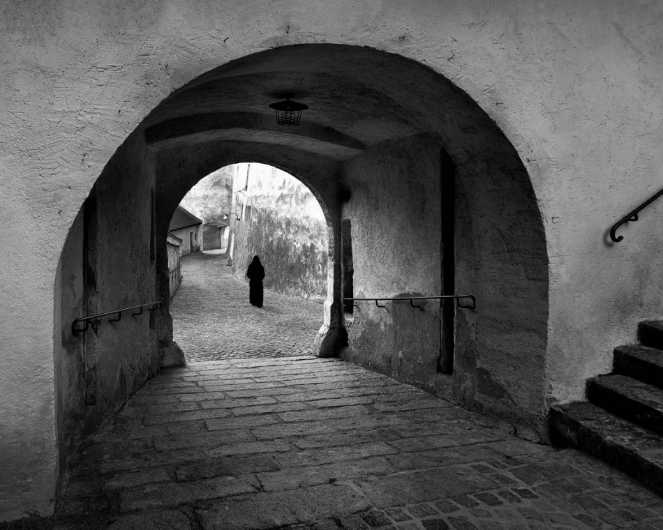 kajar - . . Zdjęcie 312961