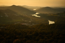 Solina