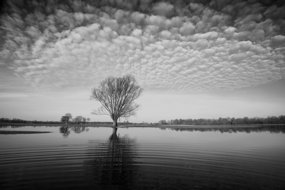 exo_82 - . . Zdjęcie 313070