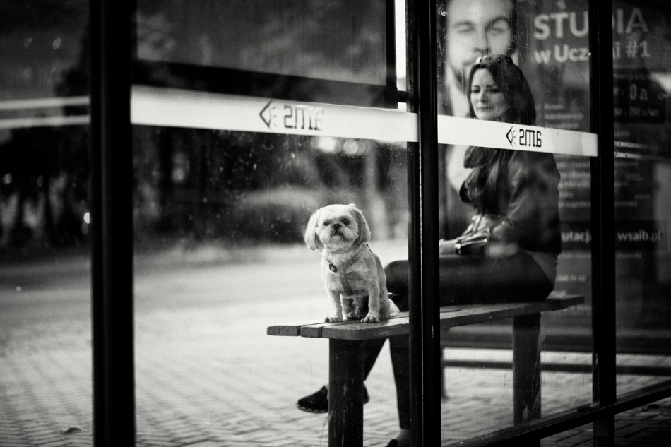 David0712 - At the bus stop. . Zdjęcie 310023