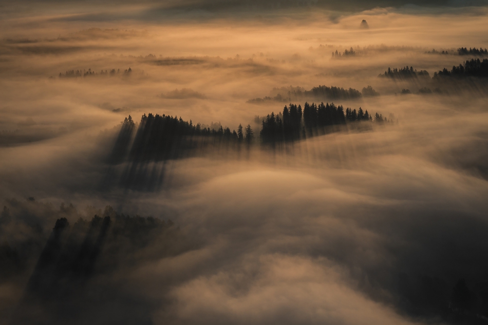 How Gentle Was the Wind..... . Zdjęcie 126455