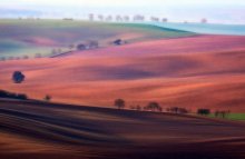 dreamy landscape