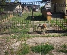 Uwięziona