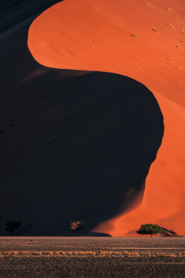 karol_nienartowicz - Wydmy Namib. Formacje piaskowe na pustyni Namib podczas zachodu słońca.. Zdjęcie 326205