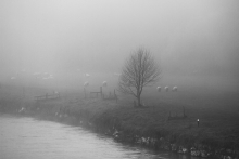 silence