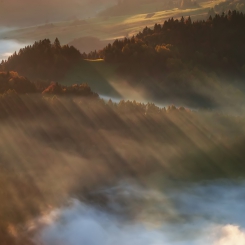 Pieniny