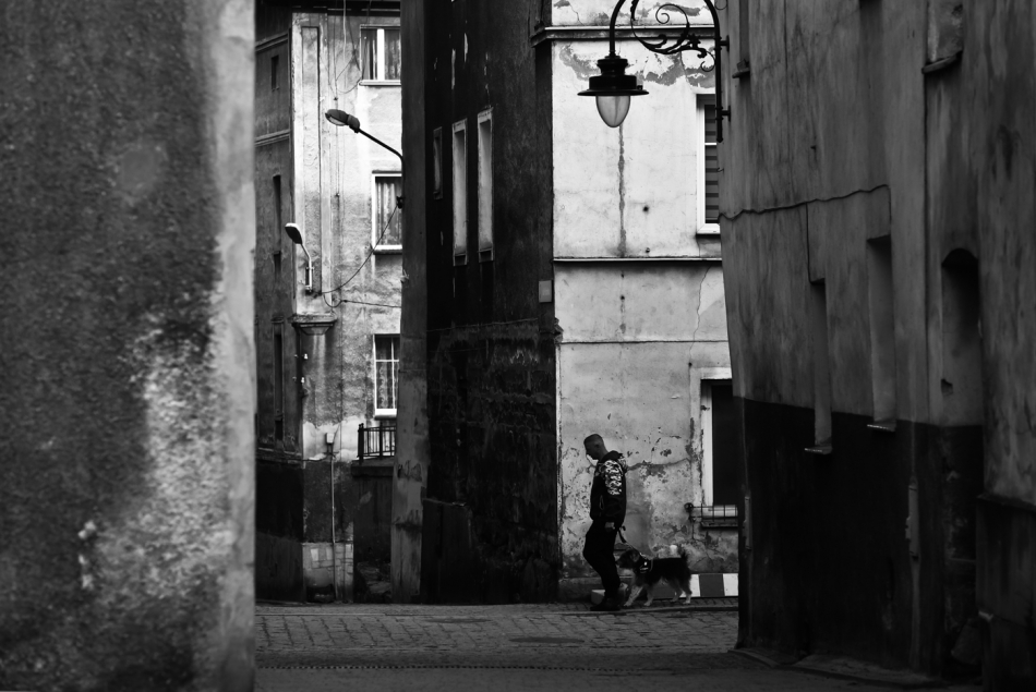 mariusz_je - . . Zdjęcie 315978