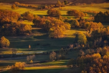 Between Rays Of Light