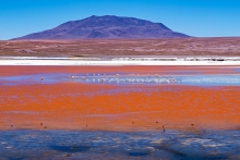 Lguna Colorada