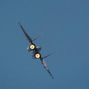 Polski MiG-29