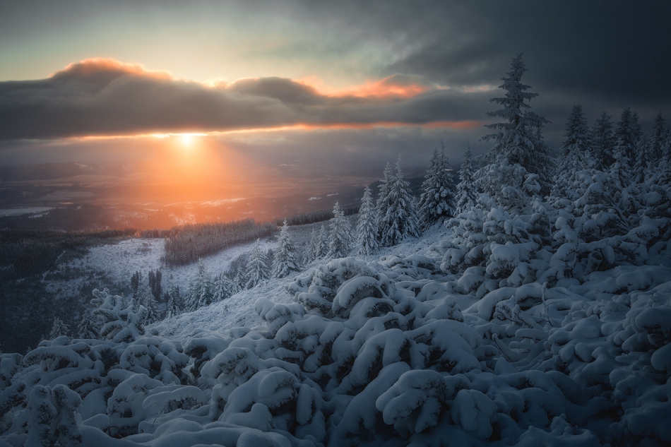 bonnieandclyde - First Light.... . Zdjęcie 309724