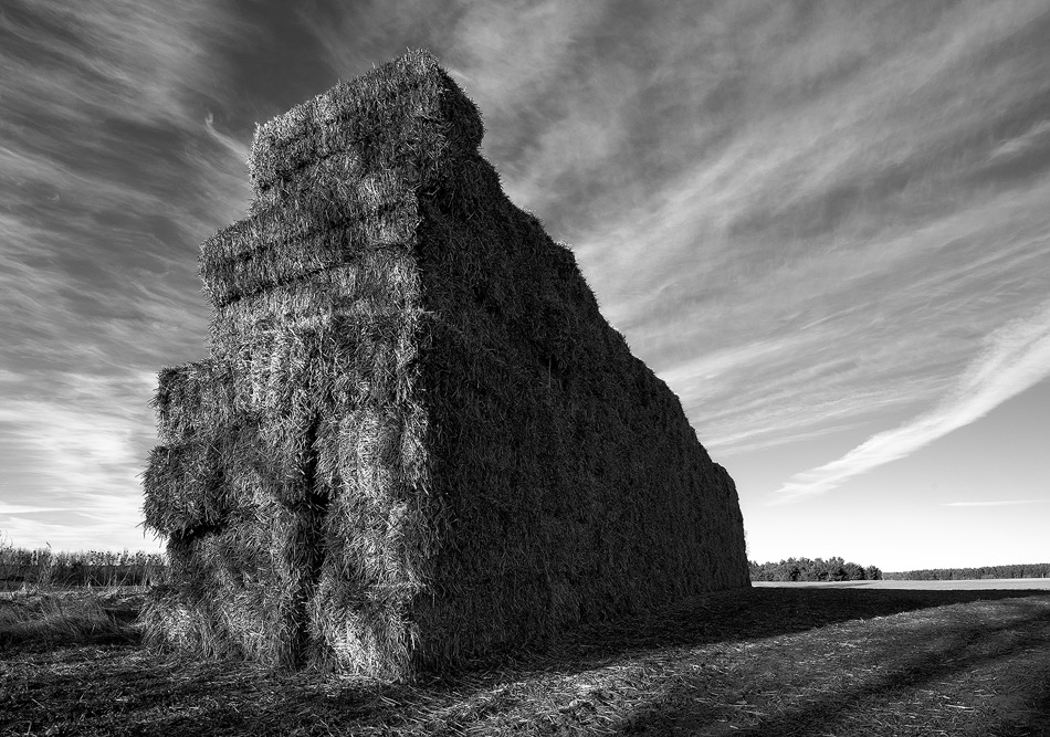 andrzej - The Wall.. . Zdjęcie 17654