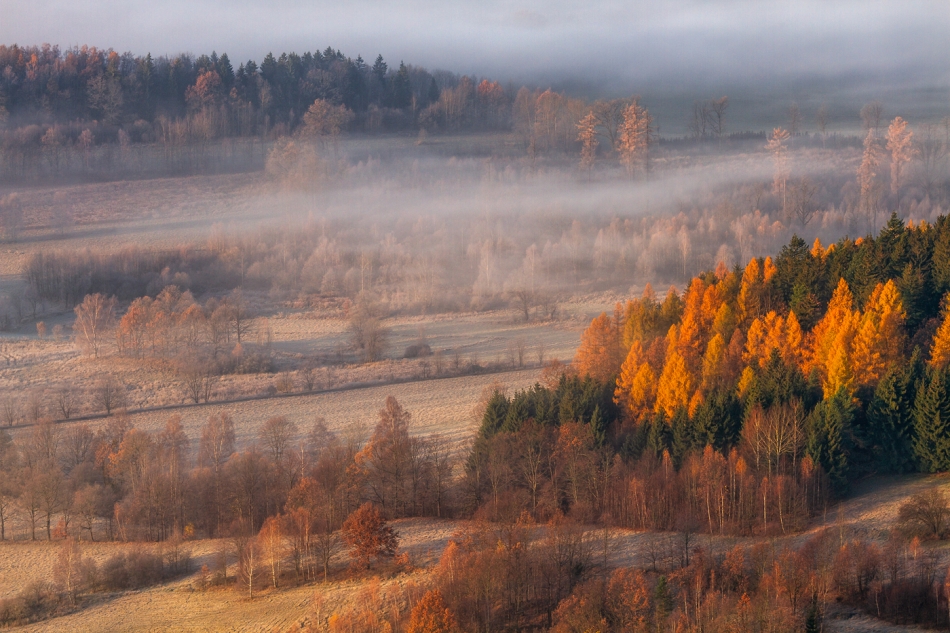 bonnieandclyde - Autumn.... . Zdjęcie 322415