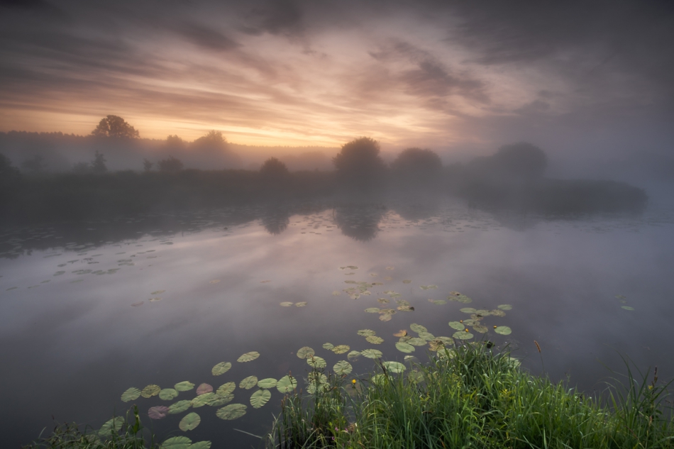 exo_82 - . . Zdjęcie 315401