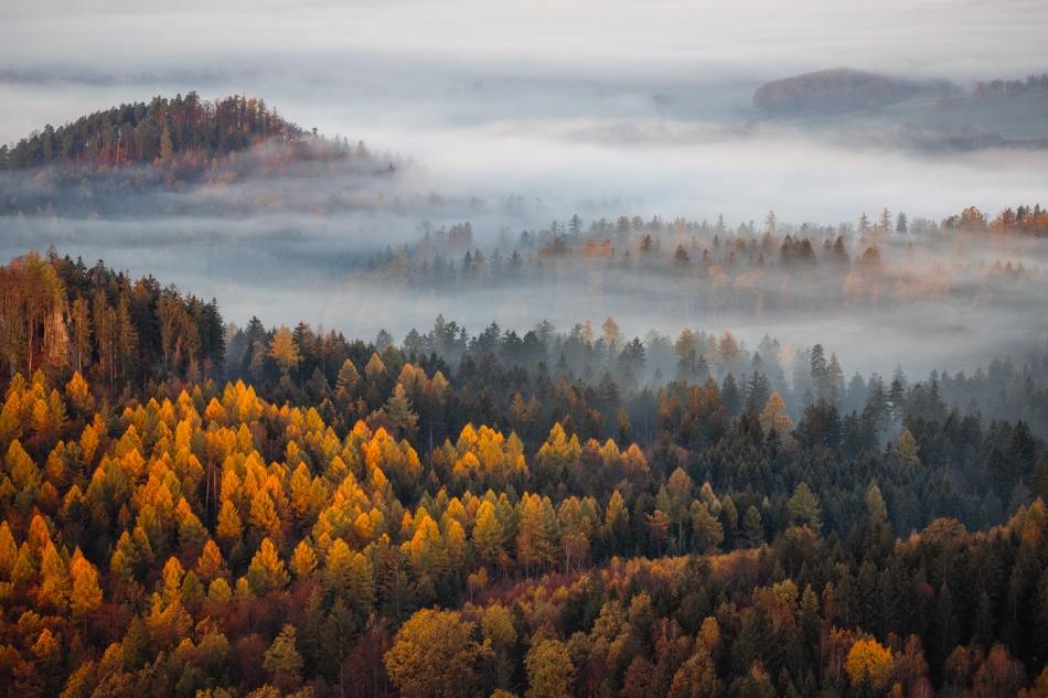 bonnieandclyde - Autumn.... . Zdjęcie 321618