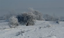 bajka