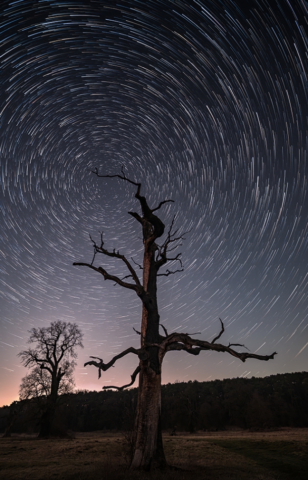 ferb72_ - . Z6II+Viltrox16mm Iso1000 f2,8 79razy 30 sek.. Zdjęcie 331437