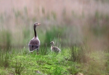 Mother and Me