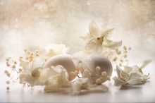 martwa natura 