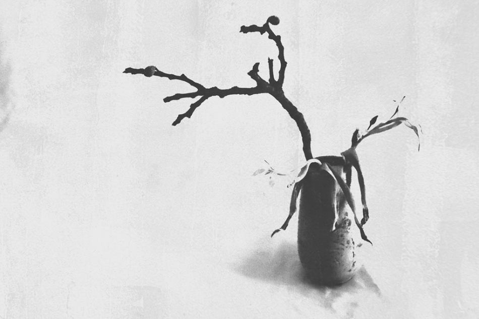 nowikowa - .... . Zdjęcie 334022