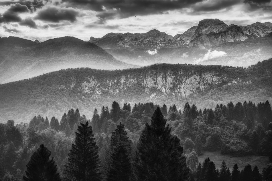 shooter76 - Brak tytułu. . Zdjęcie 337547