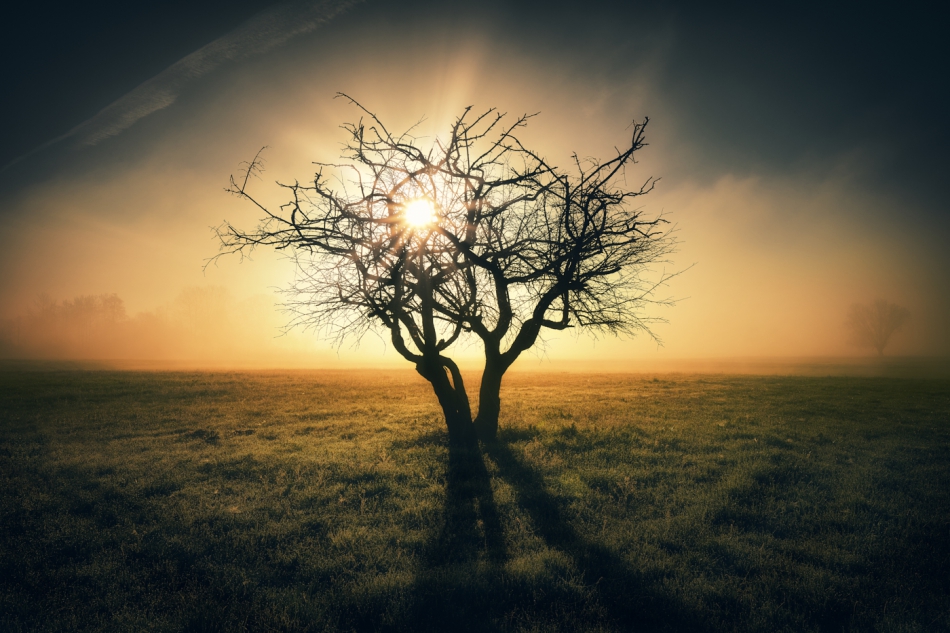 shooter76 - Zdjęcie autorstwa shooter76. . Zdjęcie 301818