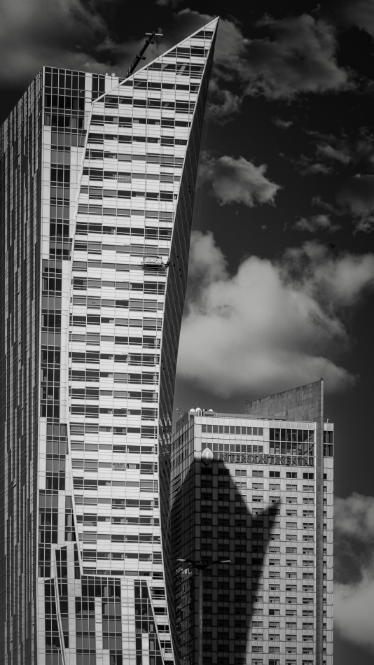 .. . Zdjęcie 336787