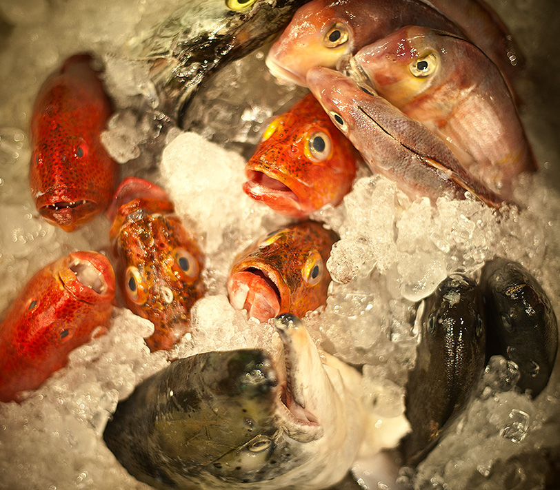 stul - Frozen aquarium. Guess, whos coming to dinner,Where is Nemo?,Last dinner heroes:))) Czyli migawka z restauracji w Keelung (Tajwan).. Zdjęcie 43262