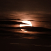 Run Venus-Run!