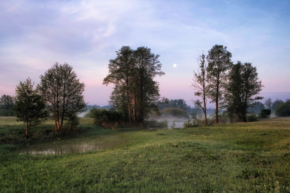 fotokomar - Poranek. . Zdjęcie 264394