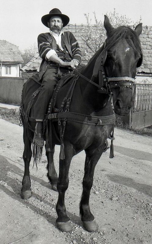 jakabtibor - On horseback. Another dissapearing gypsy profession: horse trade. A traditionally dressed gypsy mean riding his horse in the way to the market.. Zdjęcie 34086