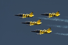 Baltic Bees