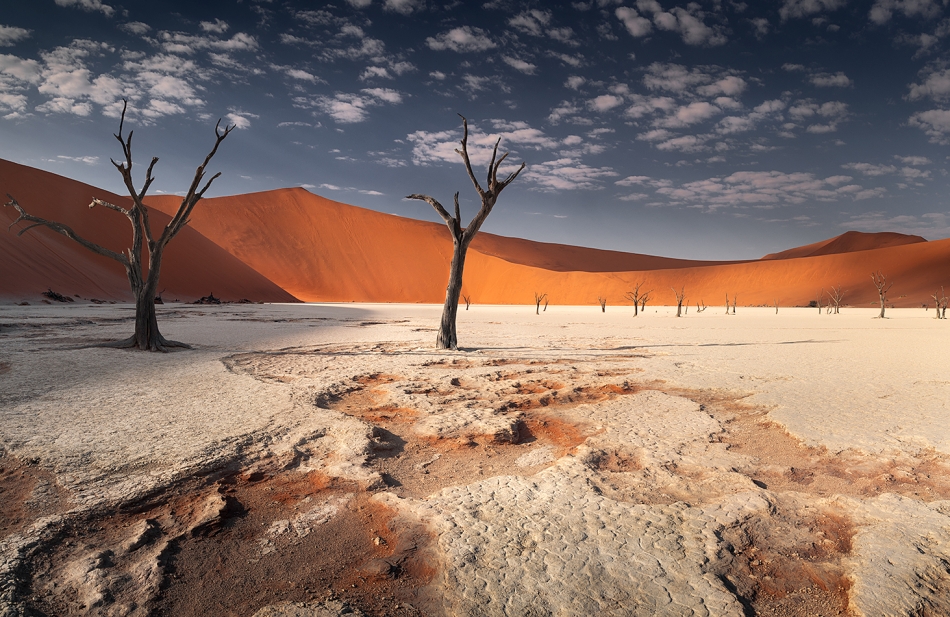 karol_nienartowicz - Deadvlei. Dolina Śmierci, Namibia. Zdjęcie 326207