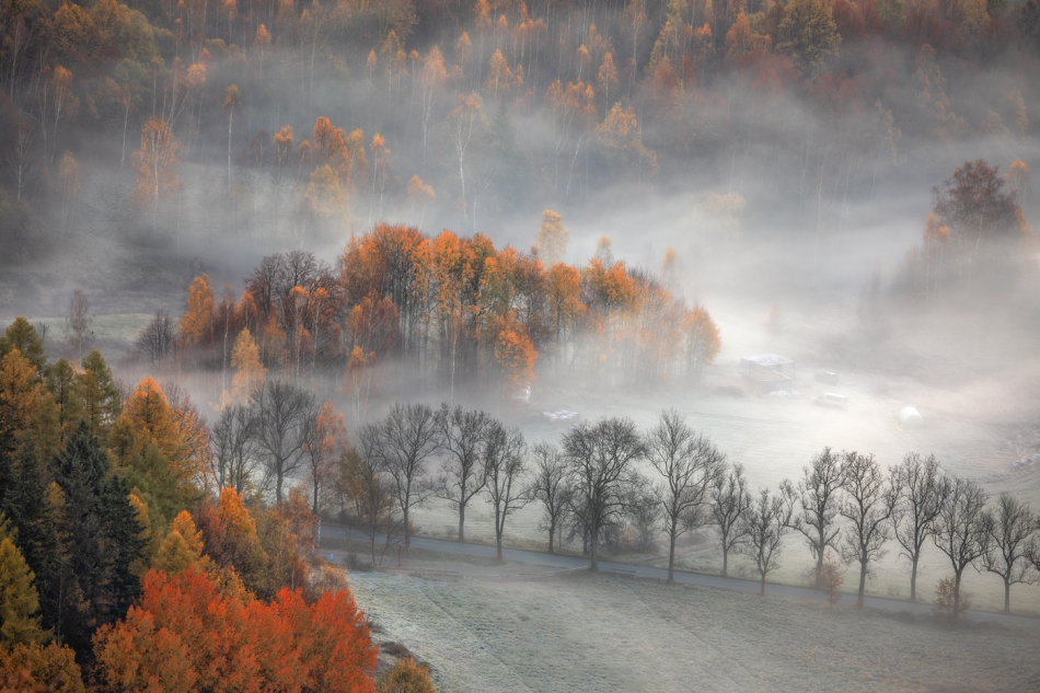 bonnieandclyde - Autumn.... . Zdjęcie 321619