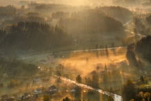A Very Silent Morning...