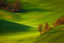 Na falach