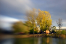 Dreamland