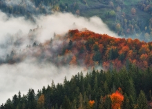 Autumn morning
