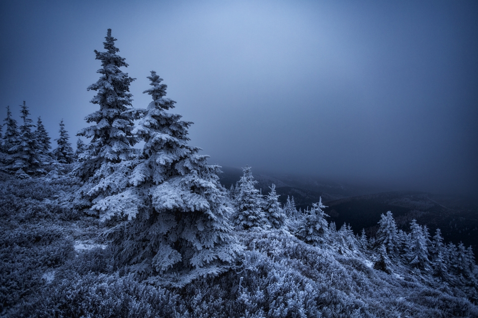 bonnieandclyde - Snow Borne Sorrow.... . Zdjęcie 329260
