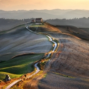Farm