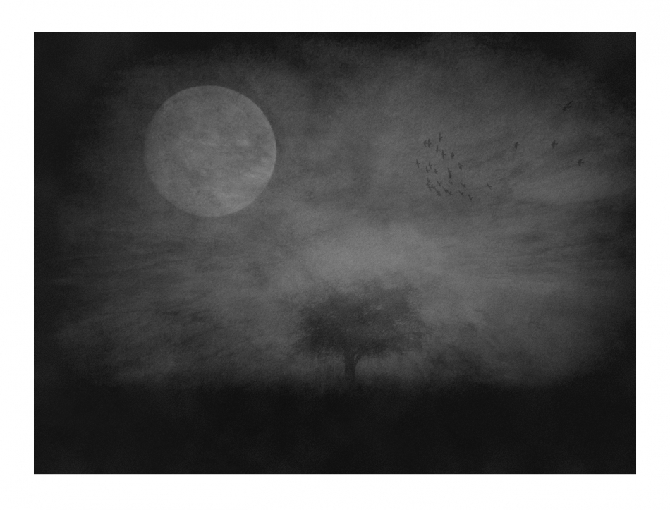 robin74r - A Strange Day.... . Zdjęcie 321532