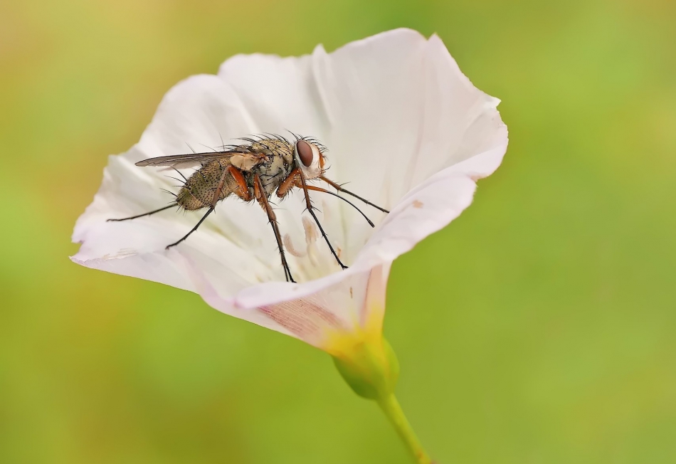 keni - . . Zdjęcie 308414