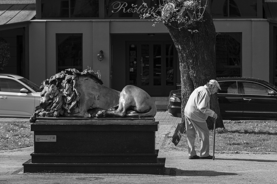 wiedzma - His lion is already asleep. Gliwice, street. Zdjęcie 329725