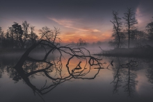Krajkowo